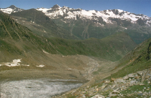 Granatkogl