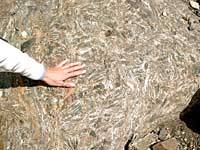 Hornblende