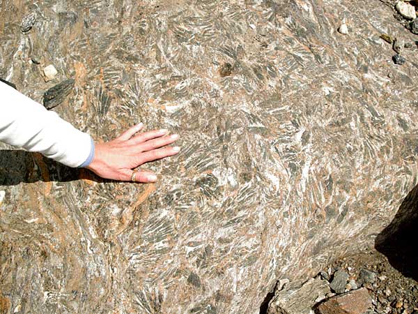 Hornblende