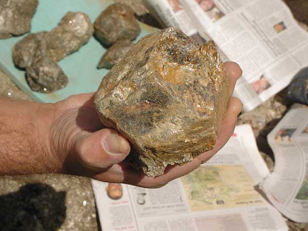 riesen Granat